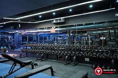 Pro Ultimate Gyms in Chandigarh