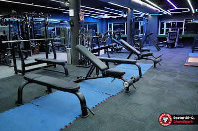 Pro Ultimate Gyms in Chandigarh