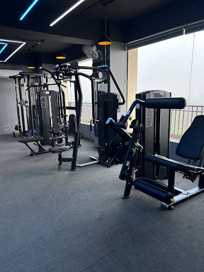 Gymnation Premium in Zirakpur