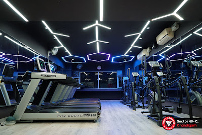 Pro Ultimate Gyms in Chandigarh