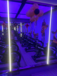 SS Royal Gym in Ludhiana