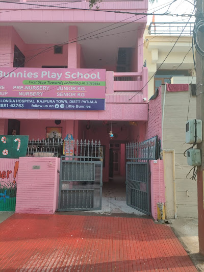 Little Bunnies Play School