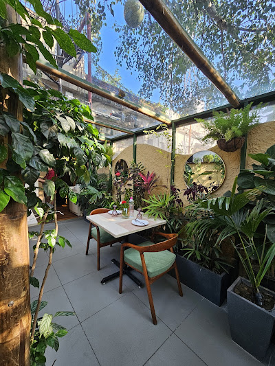 Zinnia - Abstract Dining