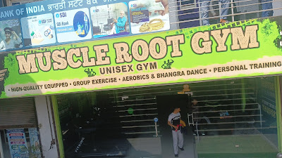 Muscle Root Gym in Rajpura