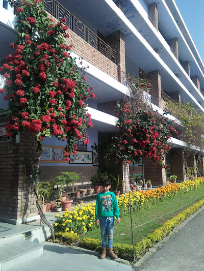 St. John's High School