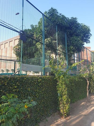 St. Stephen's School