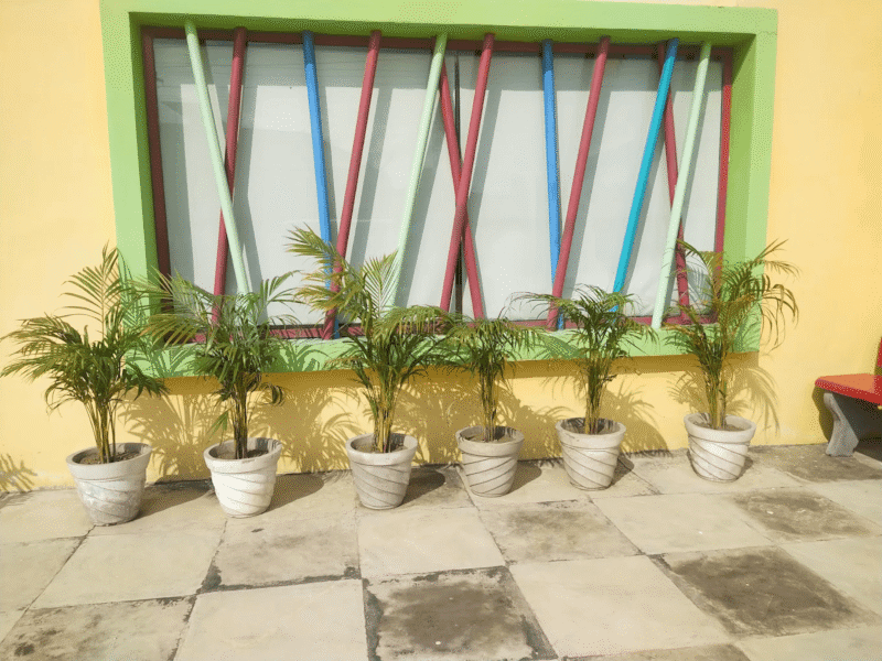 Euro Genius Pre School in Pathankot