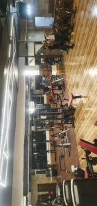 Step Up Gym and Fitness in Bhupindra Nagar Patiala