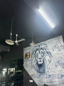 Fire Fitness in Golden Avenue Pathankot