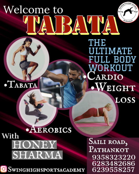 Swing High Fly and Fitness Arena in Saili Road Pathankot