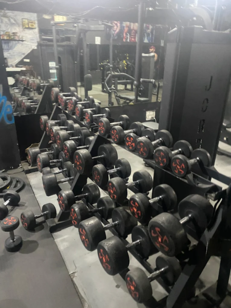 Fire Fitness in Golden Avenue Pathankot