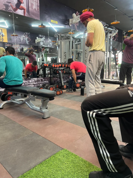 Royal Fitness near Punjabi University Urban Estate, Patiala