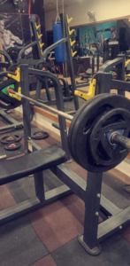 Calisthenics Gym and Fitness Territory Urban Estate Phase 2, Patiala