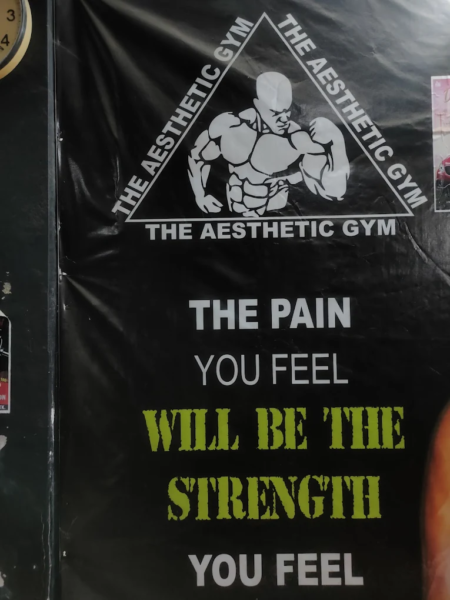 The Aesthetic Gym in Saili Kulian Pathankot