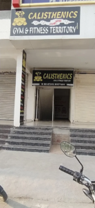 Calisthenics Gym and Fitness Territory Urban Estate Phase 2, Patiala