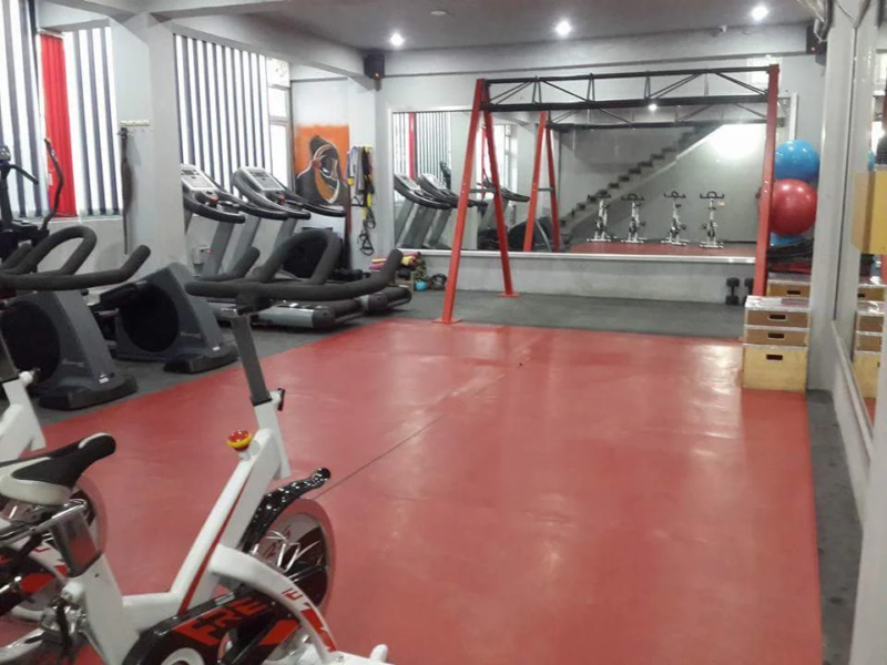 DNA Fitness care Gym Bhadson, Patiala
