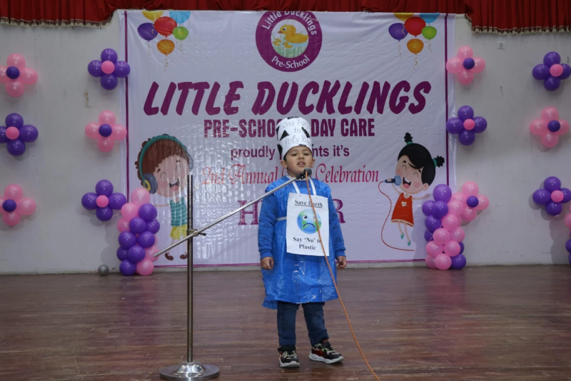 Little Ducklings Pre-School and Daycare Tripuri, Patiala
