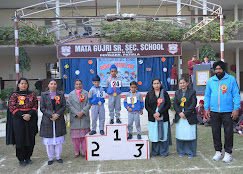 Mata Gujri Senior Secondary School Devigarh Road, Patiala