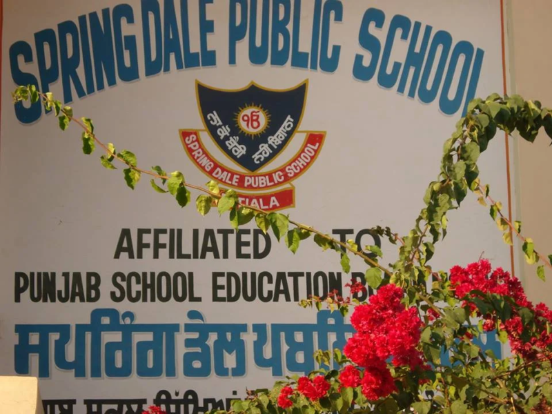 Spring Dale Public School Anand Nagar, Patiala