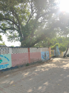 Government Senior Secondary Smart School Model Town, Patiala