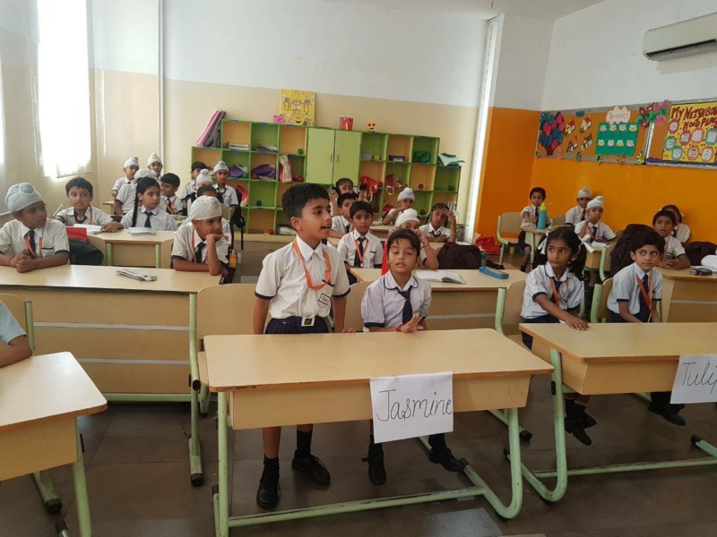 Alliance International School Rajpura, Patiala