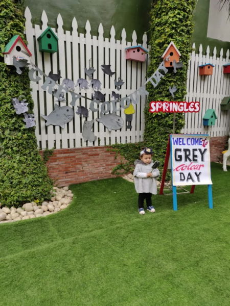 SPRINGLES pre school in Model Town, Patiala
