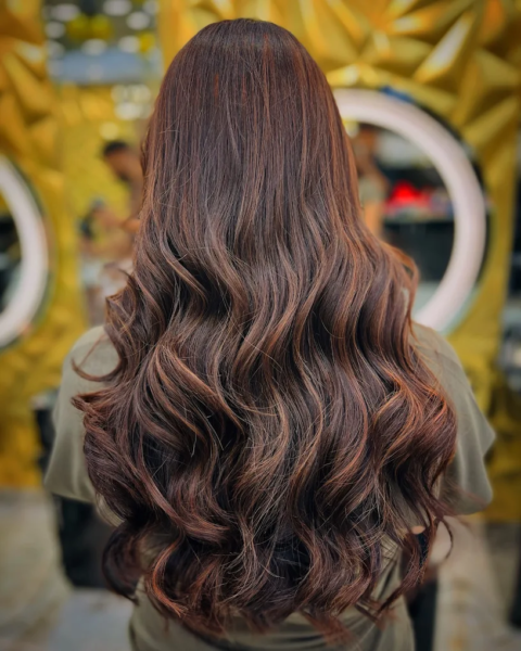 The Hair Palace Salon Bhupindra Road, Friends Colony, Patiala
