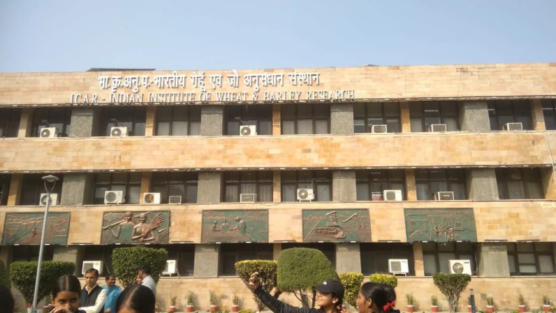 Kendriya Vidyalaya No.1 near Sangrur Road, Patiala Cantt