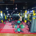 Vip Club (Fitness & Body Building) NABHA